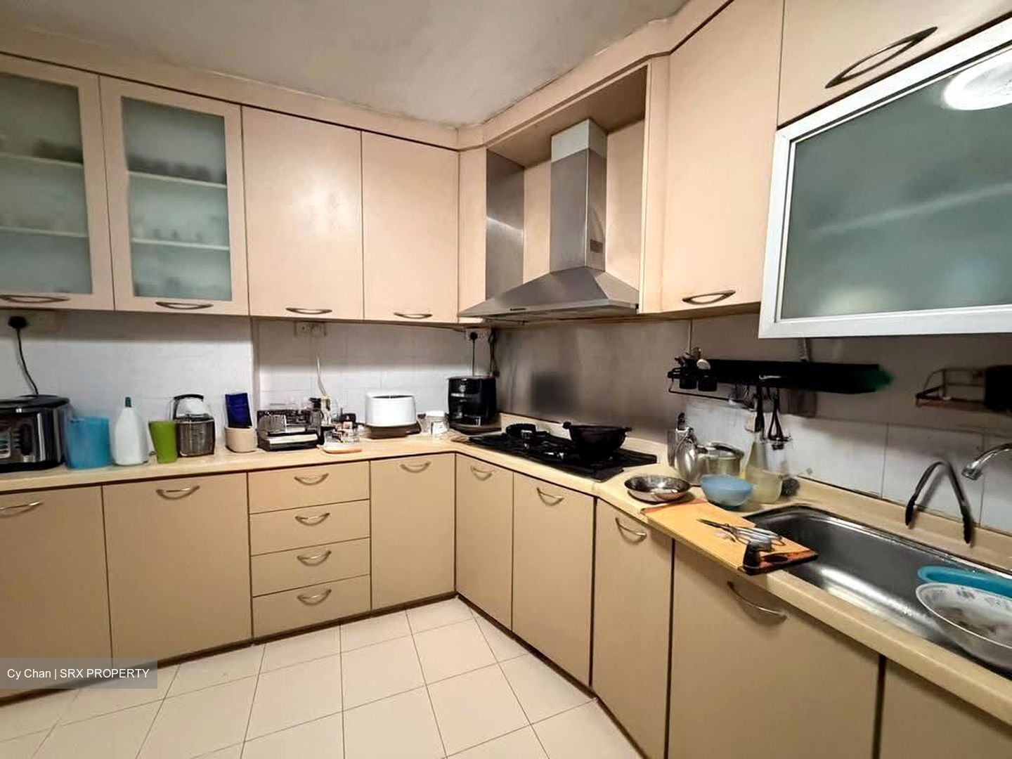Blk 521 Pangshan Valley (Bukit Panjang), HDB Executive #621686231